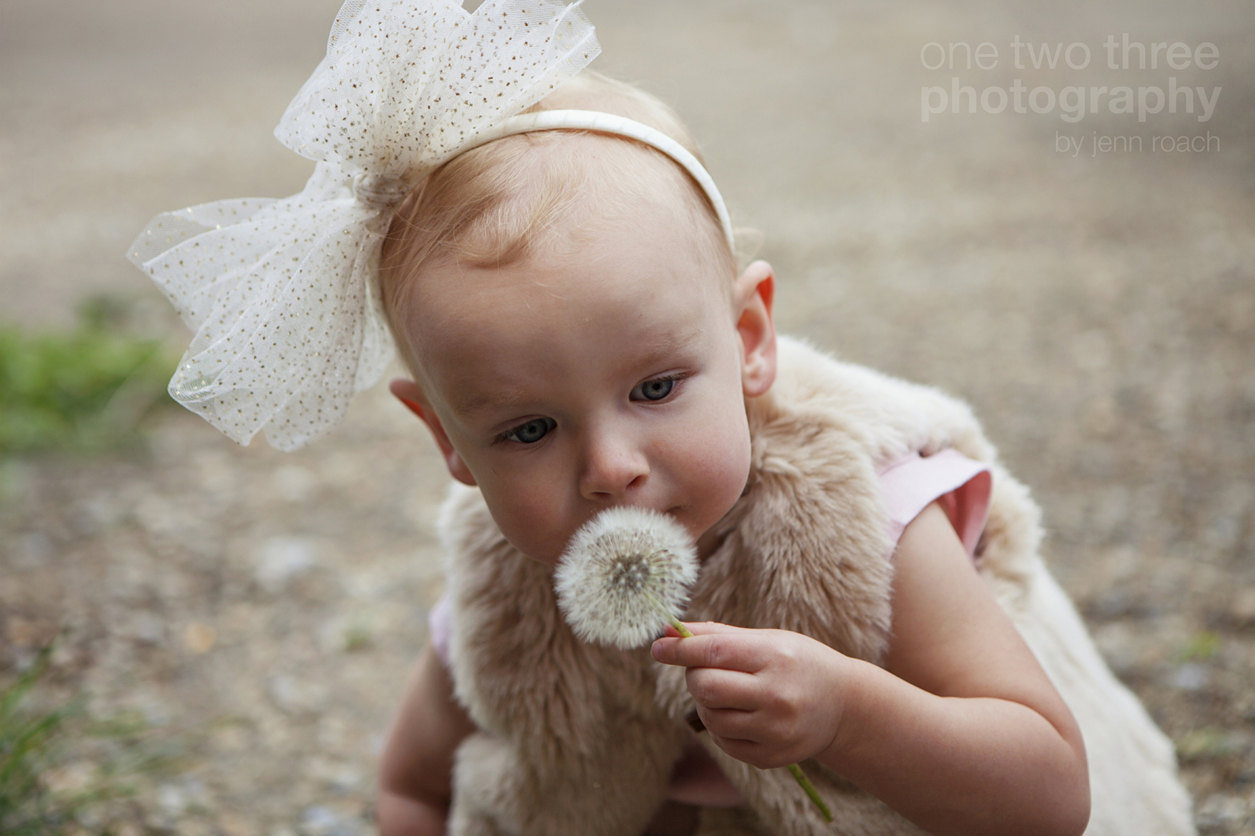 15 A little girl and a dandelion
