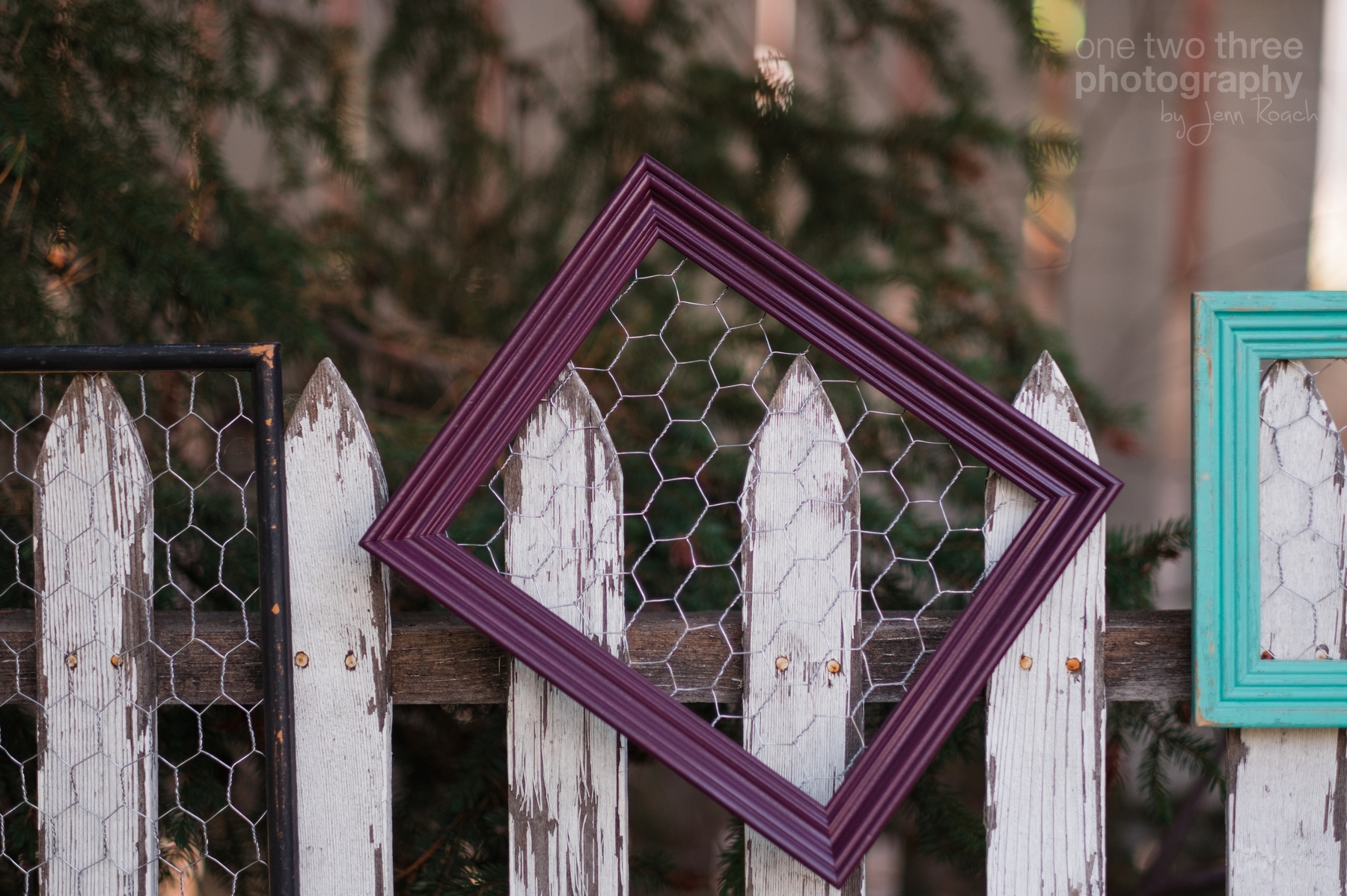 More details of frames with wire used for hanging photos or recipes